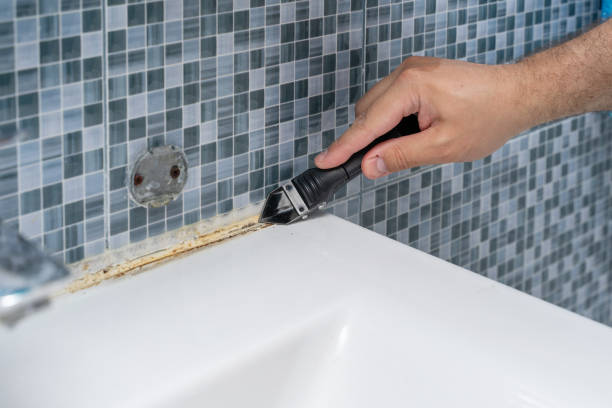 Best Best Mold Removal Companies  in Plattsburgh West, NY